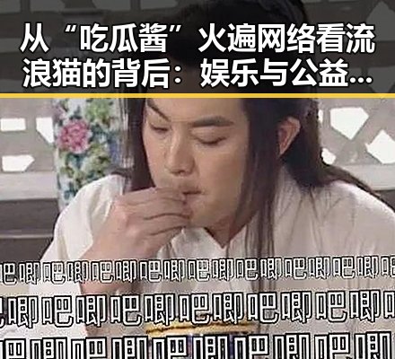 从“吃瓜酱”火遍网络看流浪猫的背后：娱乐与公益的双重考量