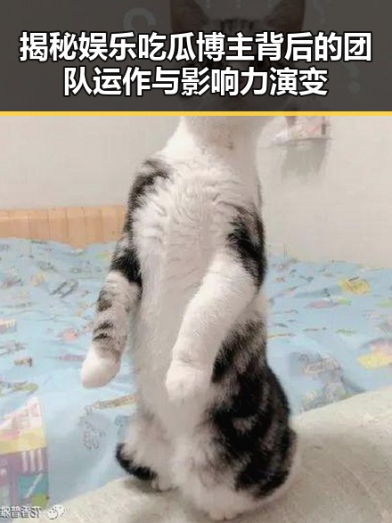 揭秘娱乐吃瓜博主背后的团队运作与影响力演变